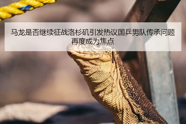 马龙是否继续征战洛杉矶引发热议国乒男队传承问题再度成为焦点